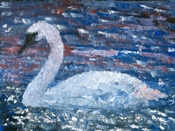 3376trumpeter_swan.jpg